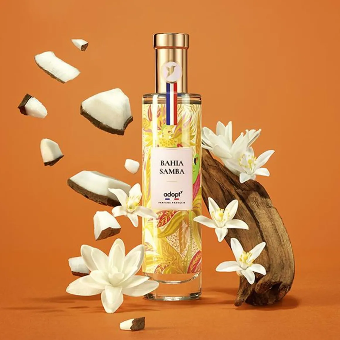 Bahia Samba
